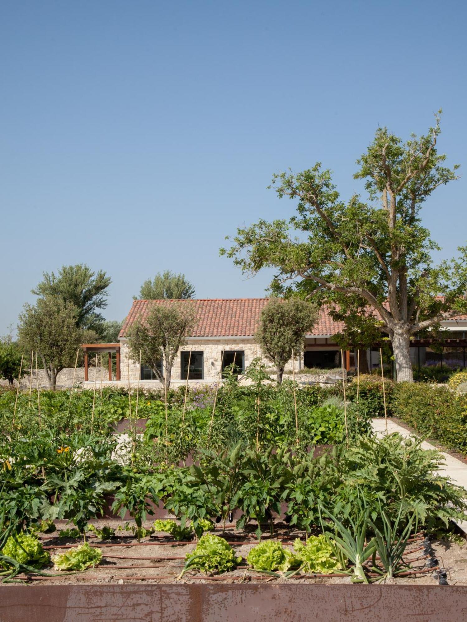 Quinta San Francisco 호텔 카스트로헤리츠 외부 사진